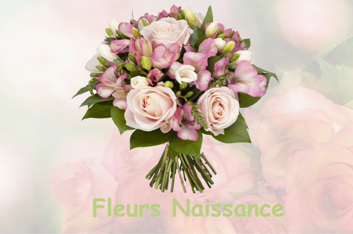 fleurs naissance SAINT-LOUBOUER