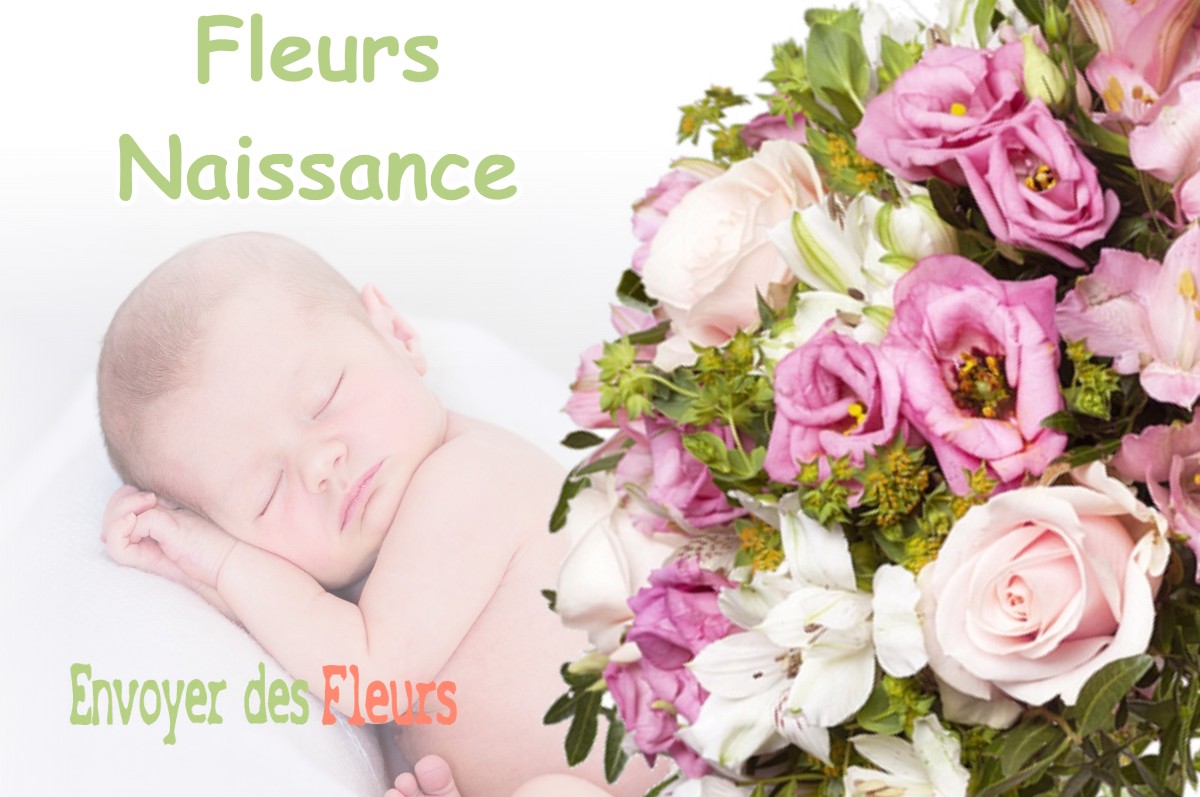 lIVRAISON FLEURS NAISSANCE à SAINT-LOUBOUER